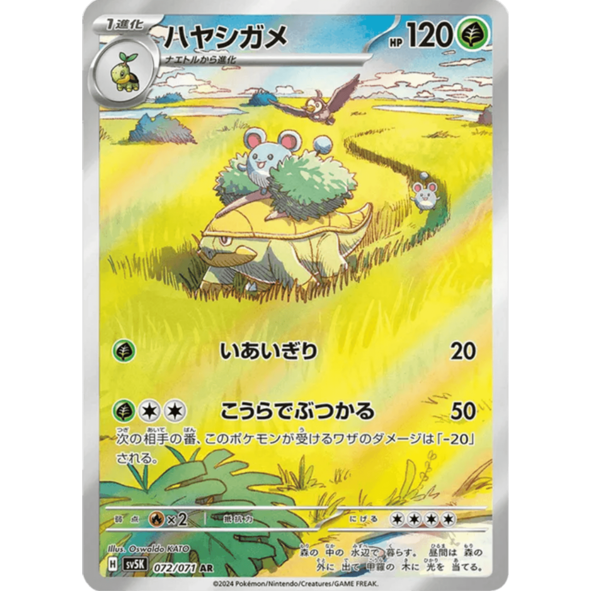 InShot_20250527_163124190