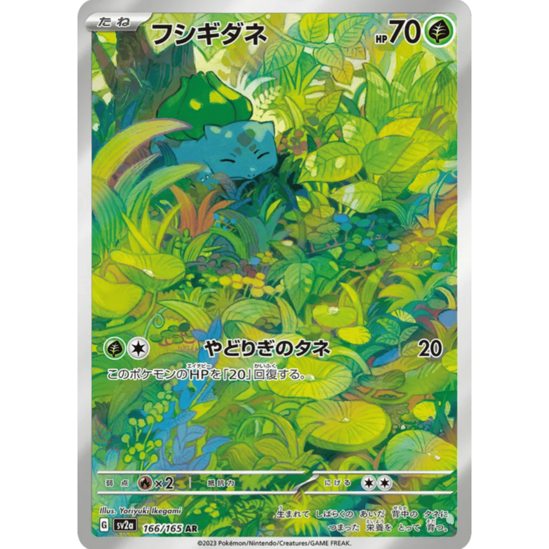 InShot_20250528_195702873